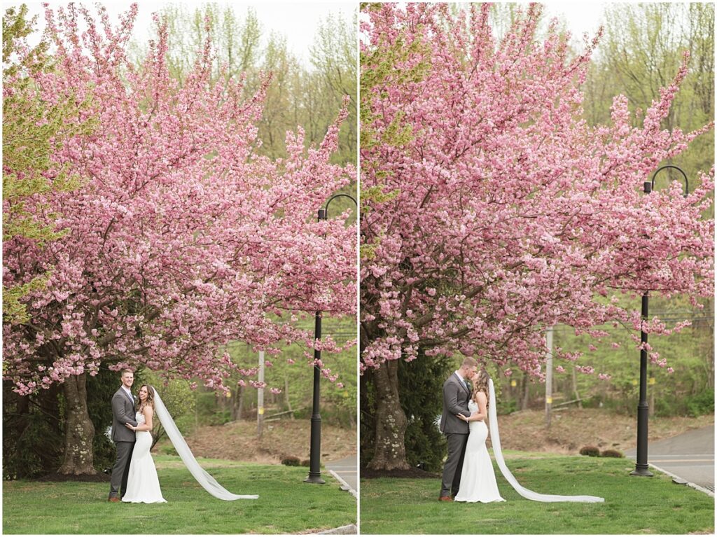 Bride and groom posing for their formal pictures under the cherry blossom tree